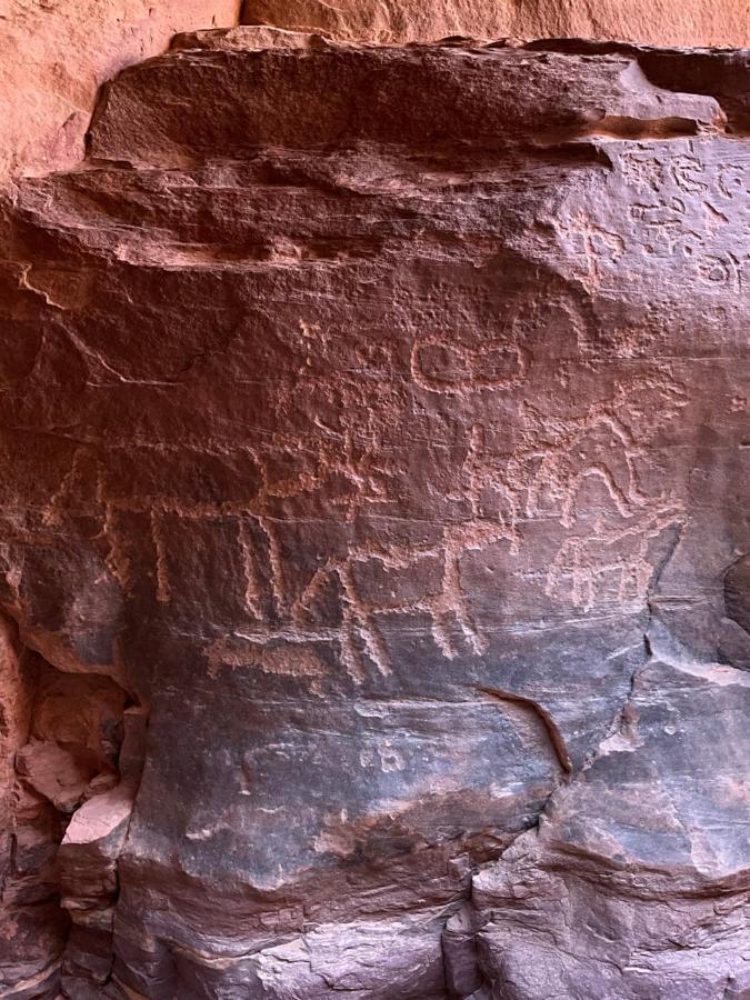 Wadi Rum Bedouin Heart Camp Bagian luar foto
