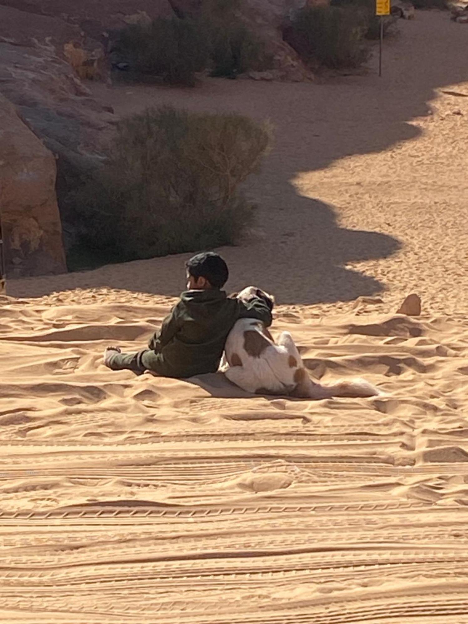 Wadi Rum Bedouin Heart Camp Bagian luar foto