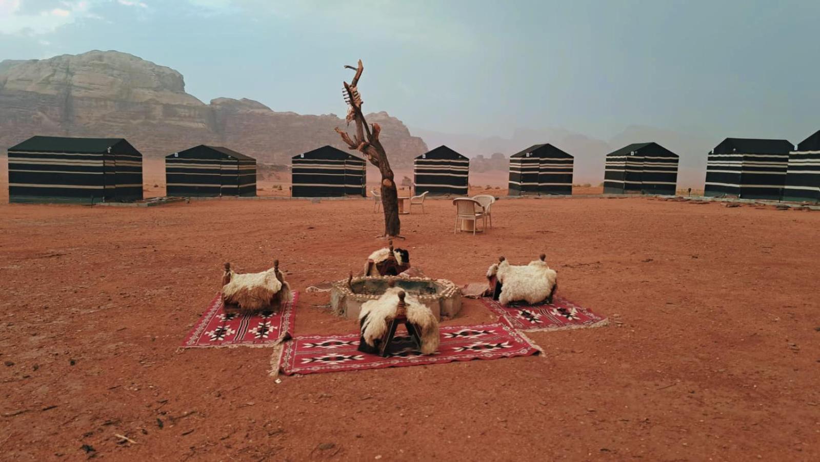 Wadi Rum Bedouin Heart Camp Bagian luar foto